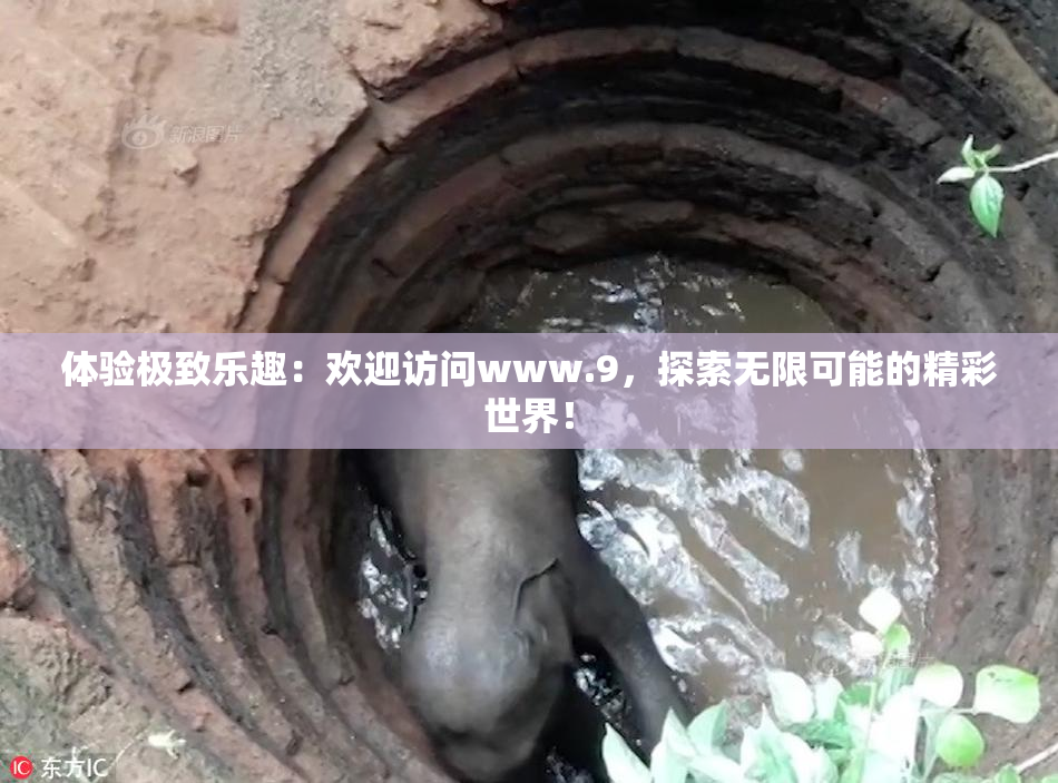 体验极致乐趣：欢迎访问www.9，探索无限可能的精彩世界！