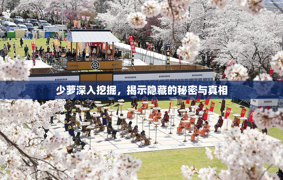 少萝深入挖掘，揭示隐藏的秘密与真相