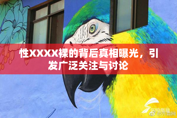 性XXXX裸的背后真相曝光，引发广泛关注与讨论