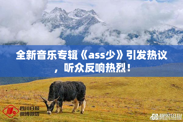 全新音乐专辑《ass少》引发热议，听众反响热烈！