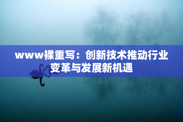 www裸重写：创新技术推动行业变革与发展新机遇