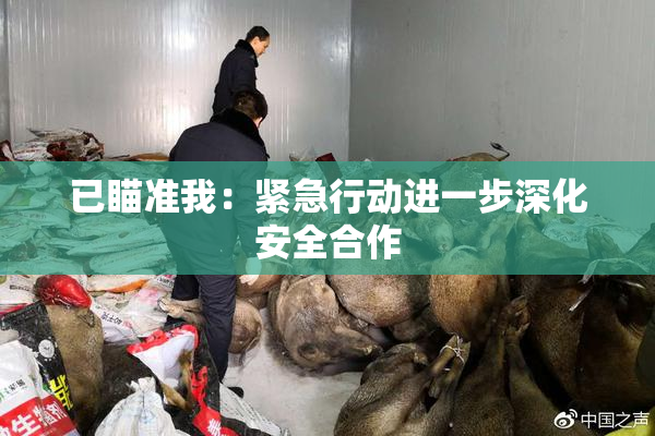 已瞄准我：紧急行动进一步深化安全合作