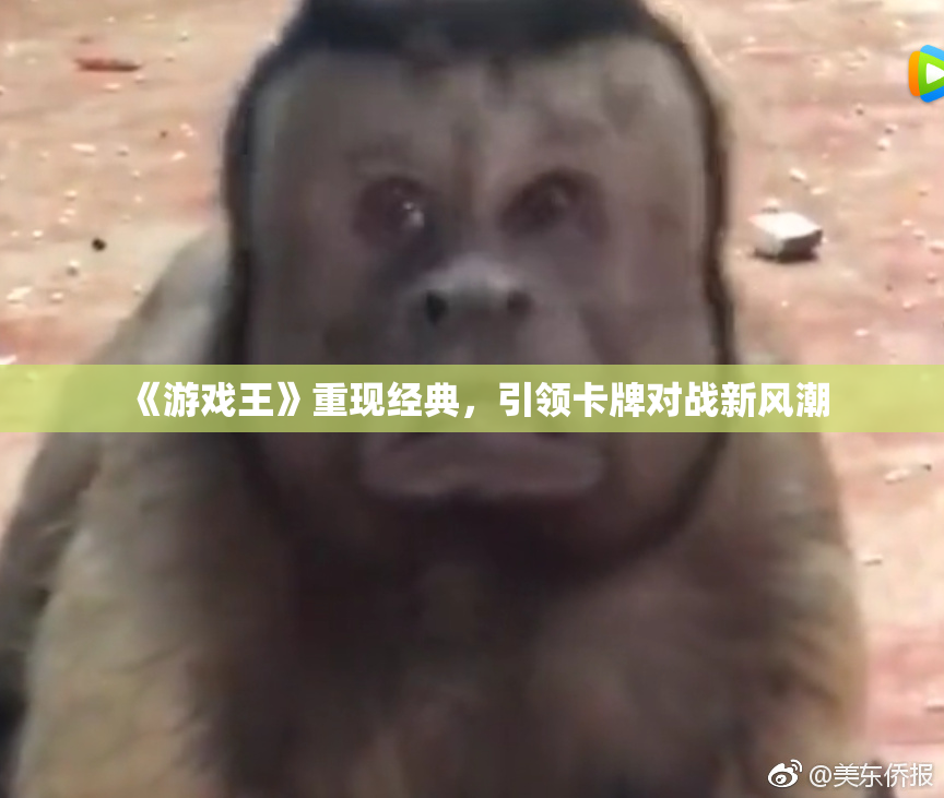 《游戏王》重现经典，引领卡牌对战新风潮