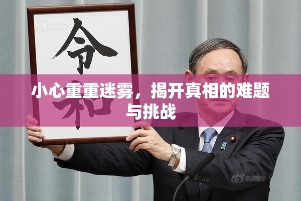 小心重重迷雾，揭开真相的难题与挑战