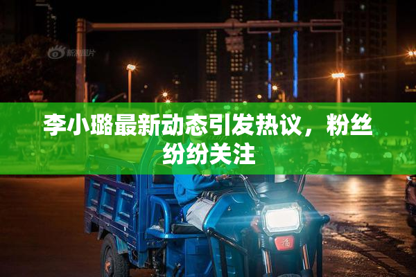 李小璐最新动态引发热议，粉丝纷纷关注