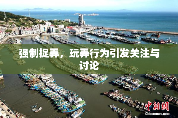 强制捉弄，玩弄行为引发关注与讨论