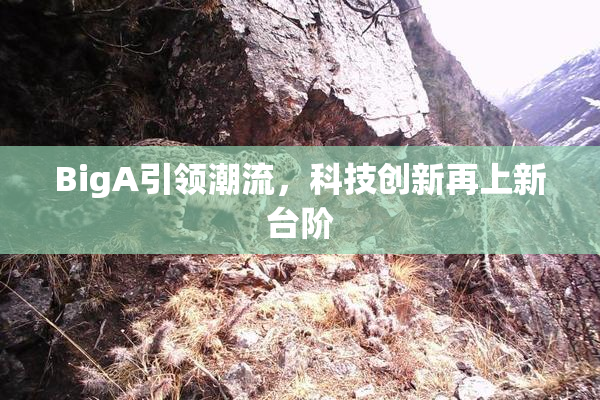 BigA引领潮流，科技创新再上新台阶