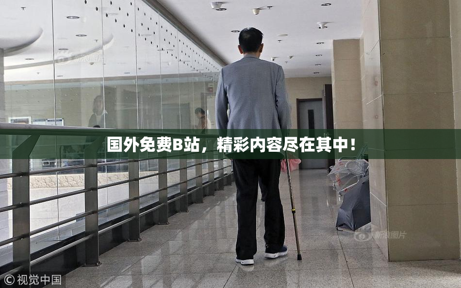 国外免费B站，精彩内容尽在其中！