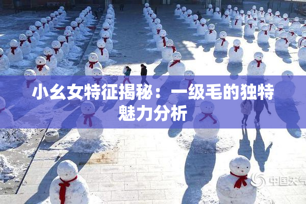 小幺女特征揭秘：一级毛的独特魅力分析