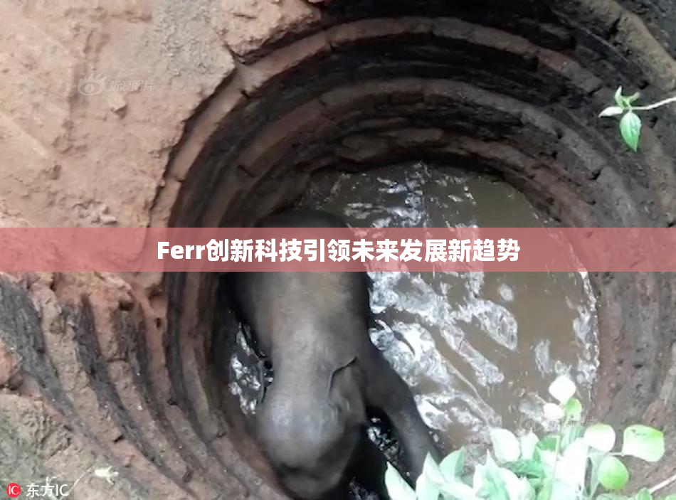 Ferr创新科技引领未来发展新趋势