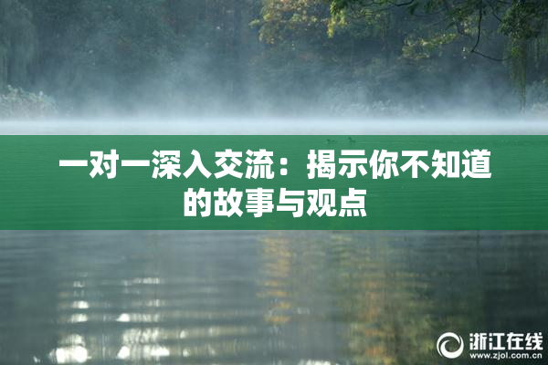 一对一深入交流：揭示你不知道的故事与观点