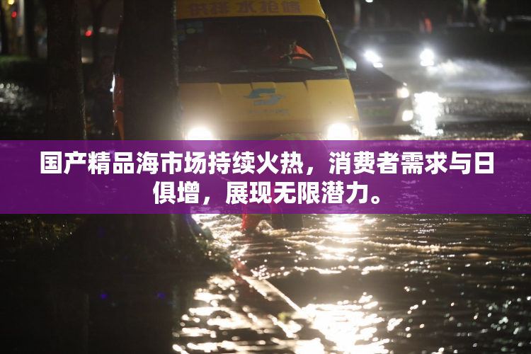 国产精品海市场持续火热，消费者需求与日俱增，展现无限潜力。