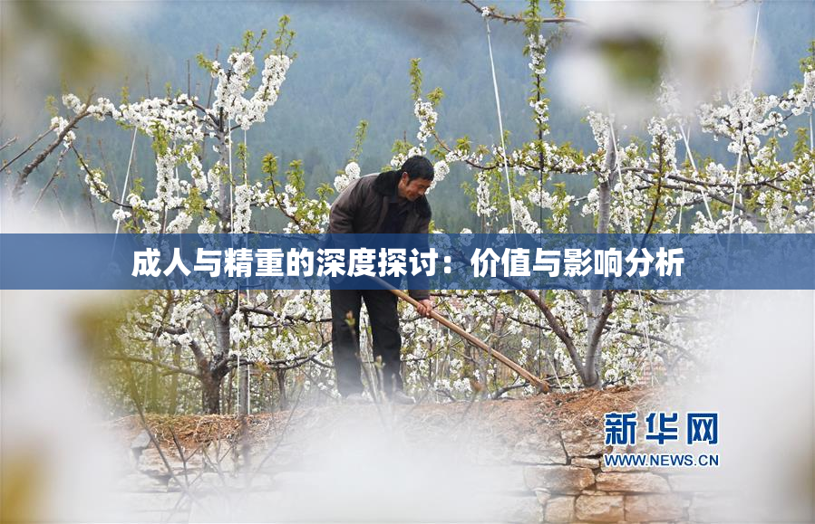 成人与精重的深度探讨：价值与影响分析