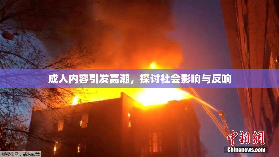 成人内容引发高潮，探讨社会影响与反响