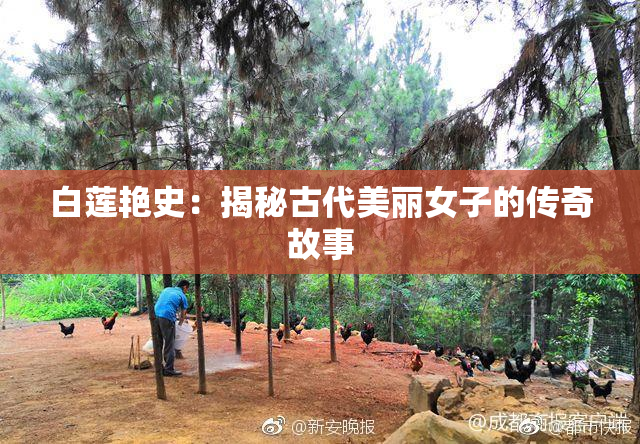 白莲艳史：揭秘古代美丽女子的传奇故事
