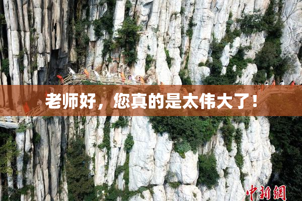 老师好，您真的是太伟大了！