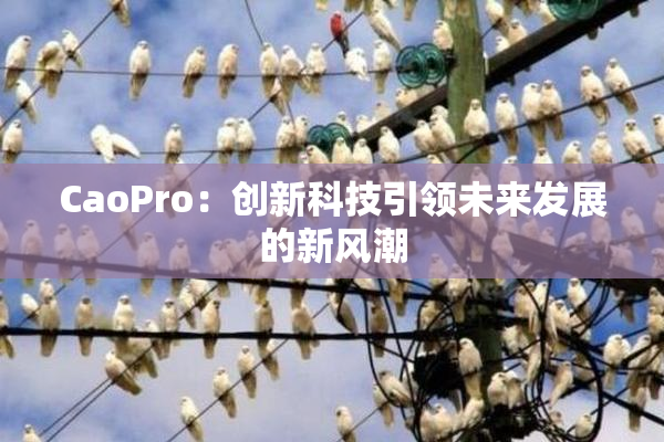 CaoPro：创新科技引领未来发展的新风潮