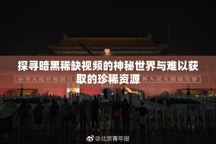 探寻暗黑稀缺视频的神秘世界与难以获取的珍稀资源