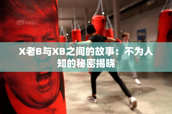 X老B与XB之间的故事：不为人知的秘密揭晓