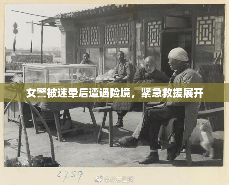 女警被迷晕后遭遇险境，紧急救援展开