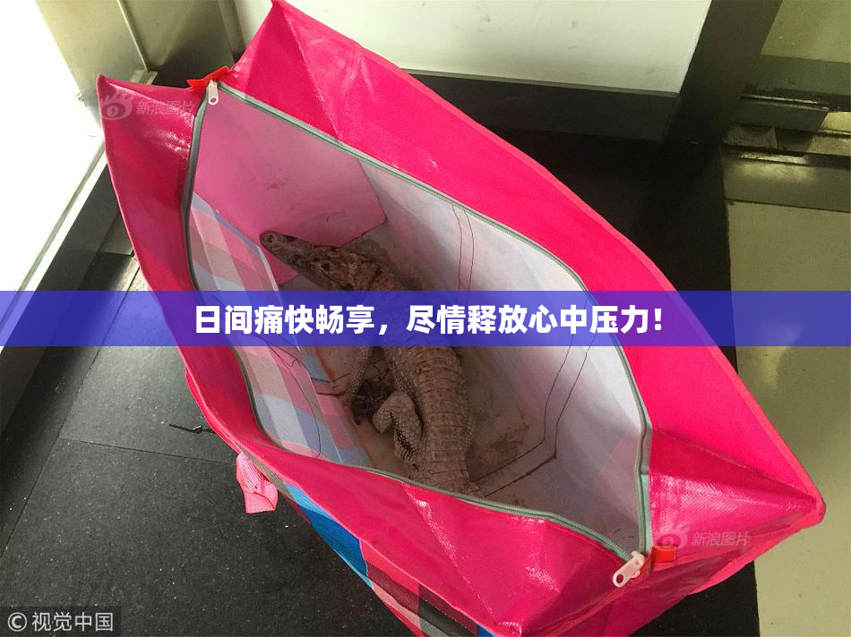 日间痛快畅享，尽情释放心中压力！
