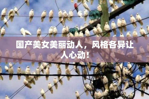 国产美女美丽动人，风格各异让人心动！