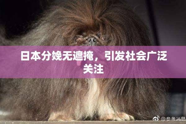 日本分娩无遮掩，引发社会广泛关注