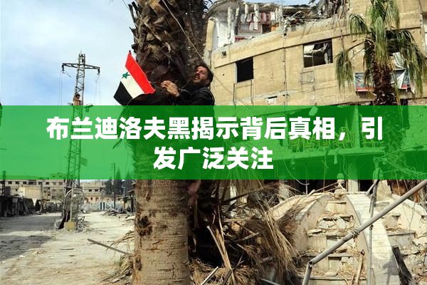 布兰迪洛夫黑揭示背后真相，引发广泛关注