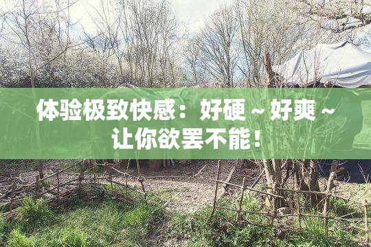 体验极致快感：好硬～好爽～让你欲罢不能！