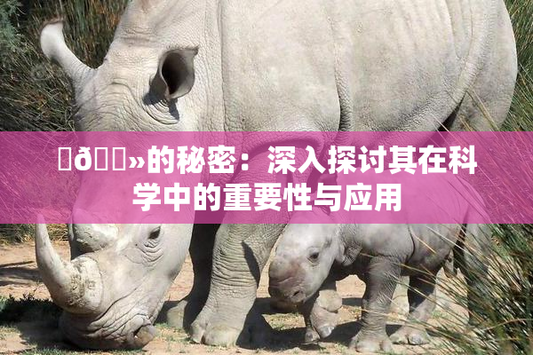 ‌🐻的秘密：深入探讨其在科学中的重要性与应用