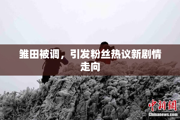 雏田被调，引发粉丝热议新剧情走向