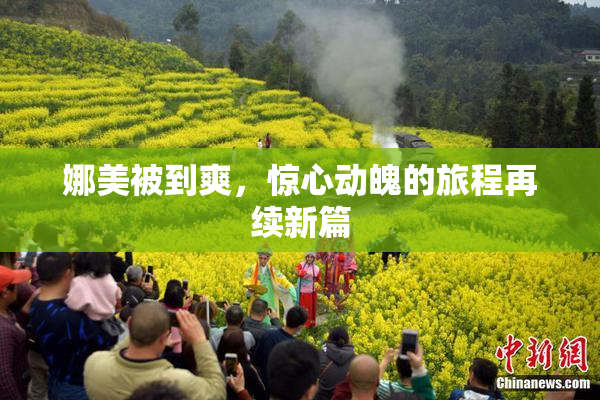 娜美被到爽，惊心动魄的旅程再续新篇