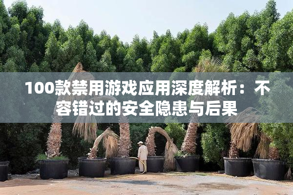 100款禁用游戏应用深度解析：不容错过的安全隐患与后果