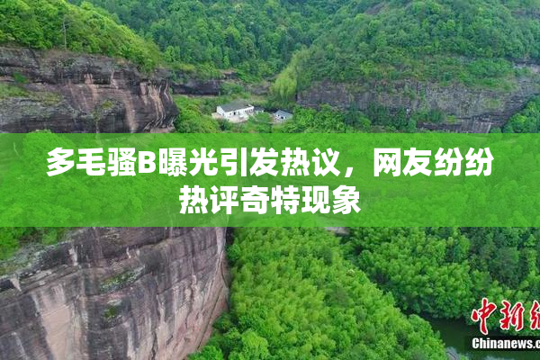 多毛骚B曝光引发热议，网友纷纷热评奇特现象