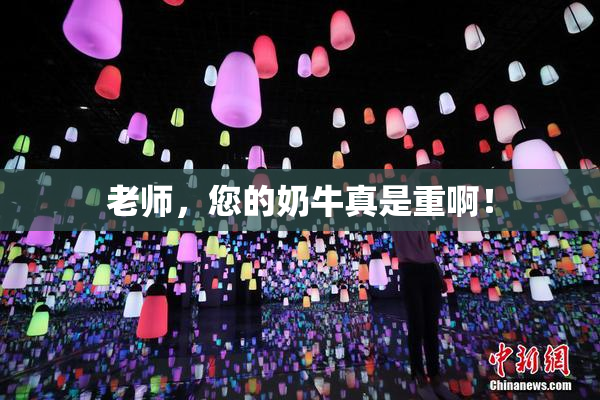 老师，您的奶牛真是重啊！