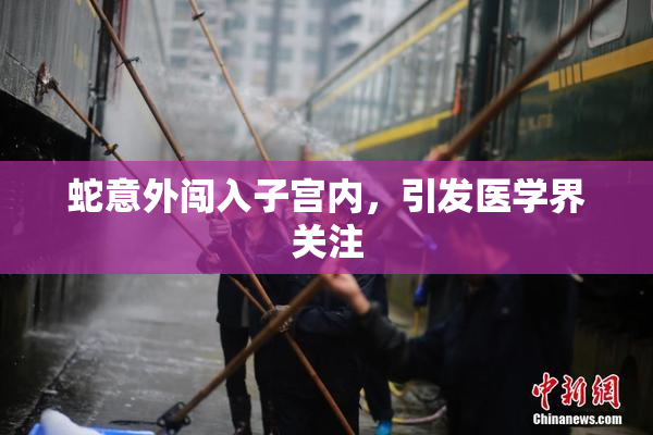 蛇意外闯入子宫内，引发医学界关注