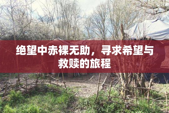 绝望中赤裸无助，寻求希望与救赎的旅程