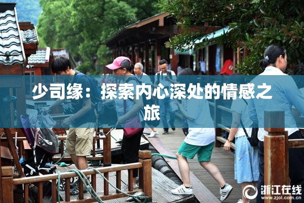 少司缘：探索内心深处的情感之旅