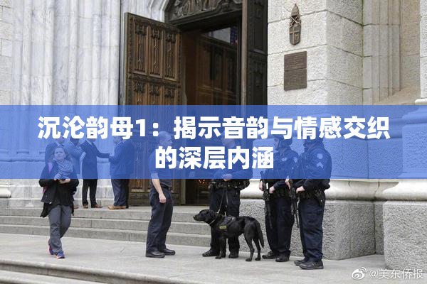 沉沦韵母1：揭示音韵与情感交织的深层内涵