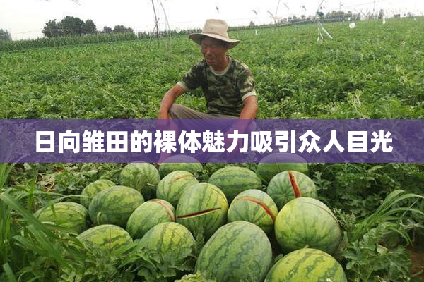 日向雏田的裸体魅力吸引众人目光