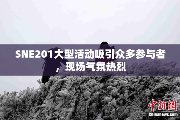 SNE201大型活动吸引众多参与者，现场气氛热烈