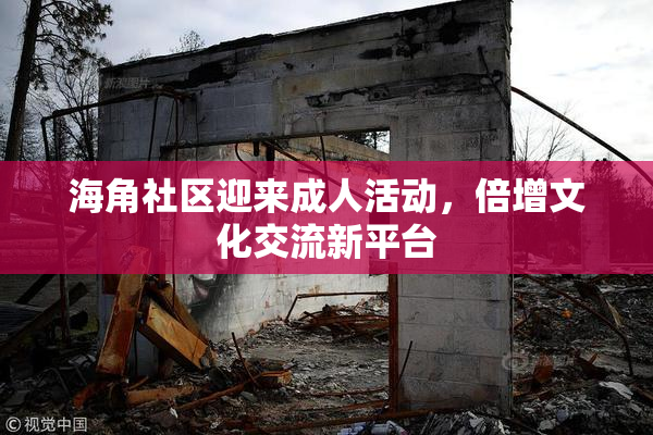 海角社区迎来成人活动，倍增文化交流新平台