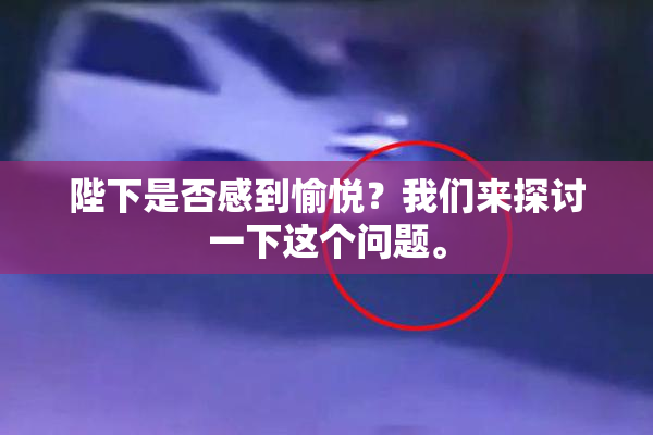 陛下是否感到愉悦？我们来探讨一下这个问题。
