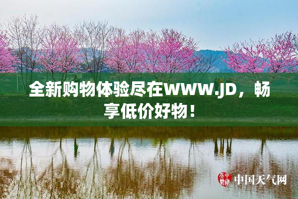 全新购物体验尽在WWW.JD，畅享低价好物！