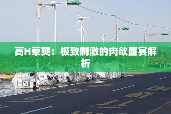 高H荤爽：极致刺激的肉欲盛宴解析