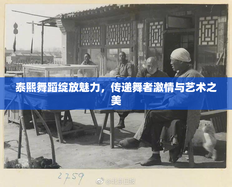 泰熙舞蹈绽放魅力，传递舞者激情与艺术之美