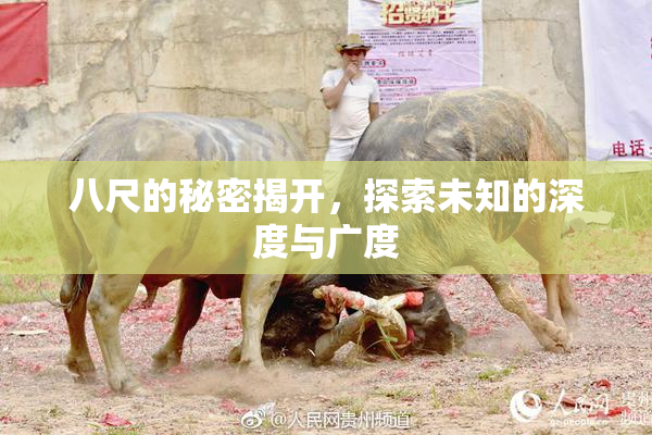 八尺的秘密揭开，探索未知的深度与广度