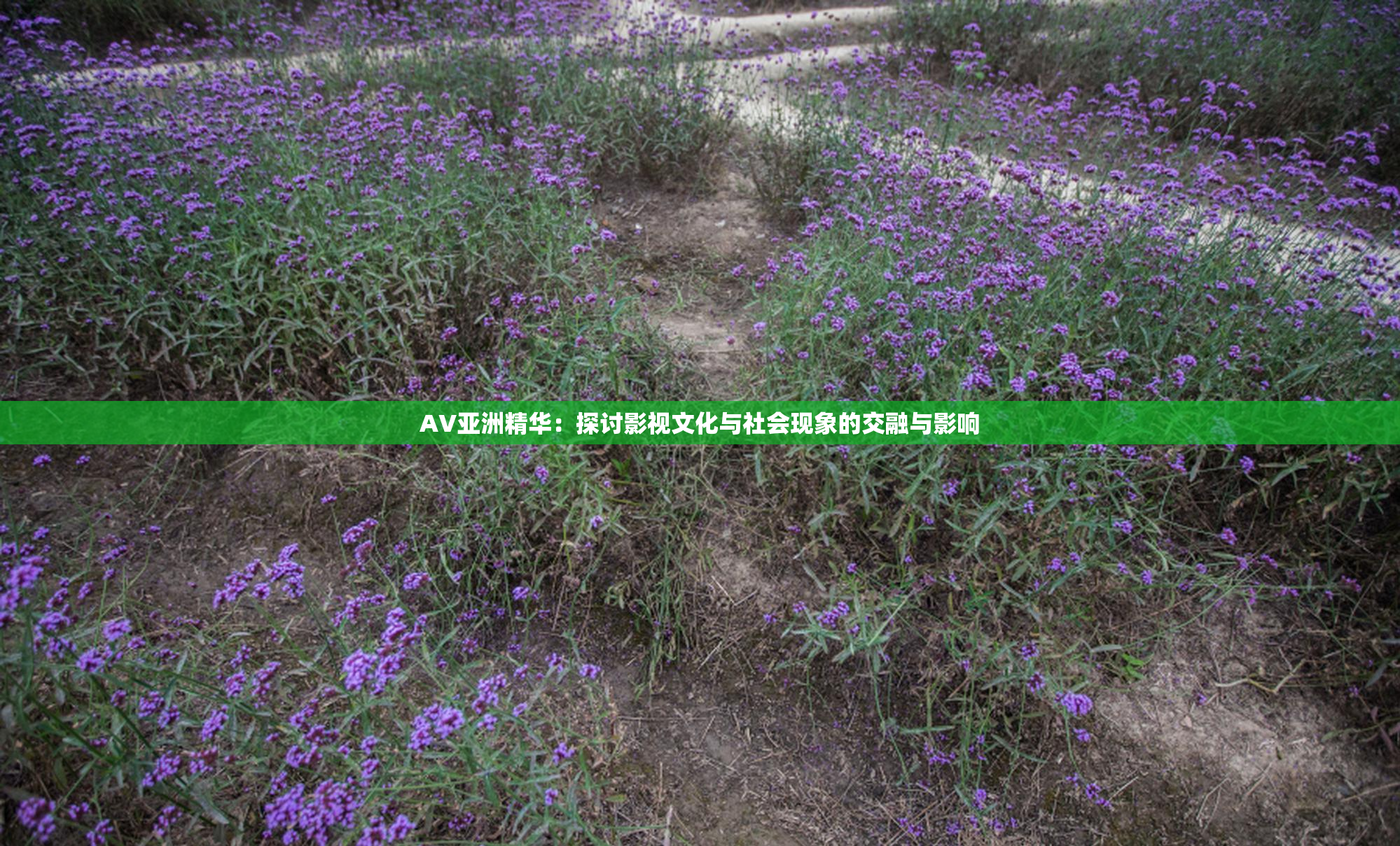 AV亚洲精华：探讨影视文化与社会现象的交融与影响