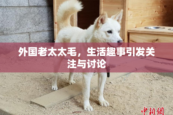 外国老太太毛，生活趣事引发关注与讨论