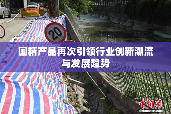 国精产品再次引领行业创新潮流与发展趋势